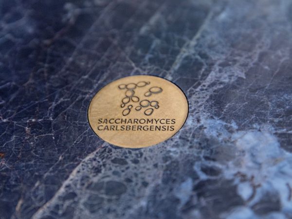 Carlsberg_04 copy (Large)5